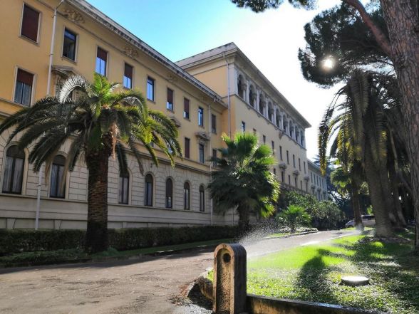 image:Image 10/source/orig/9662_img-20191027-094009_cropped.jpeg