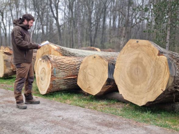 image:Image 11/source/orig/10031_6690_0_220404-aukce-drivi-alsol-1-rotated.jpg