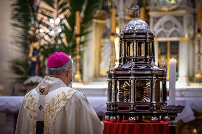 image:Image 11/source/orig/10241_6931_0_dominiknovakdsc3436.jpg