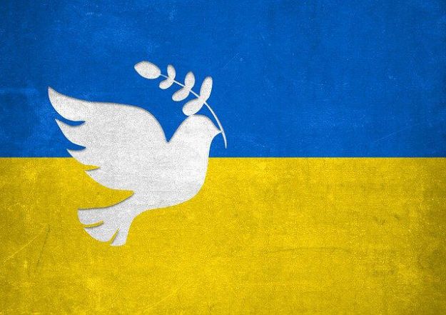 image:Image 11/source/orig/10301_6983_0_dove-ukraine-pixabay.jpg