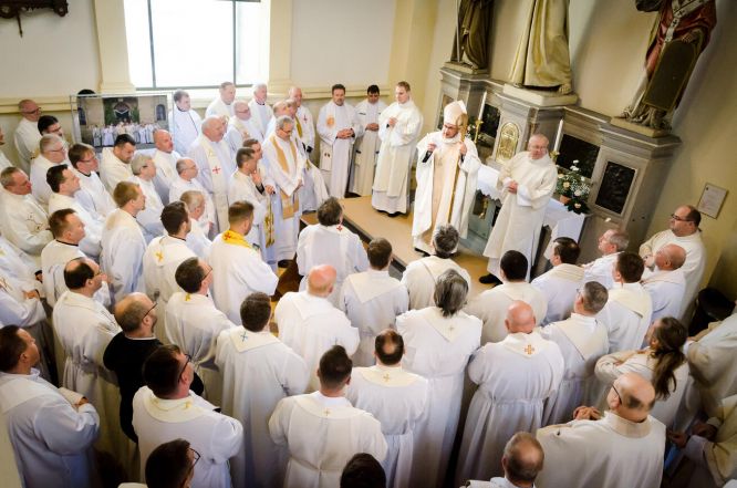 image:Image 11/source/orig/10503_7255_0_220414-101935-zdpo-misachov-dsc0552.jpg