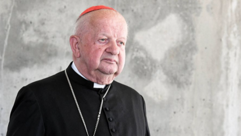 image:Image 11/source/orig/10688_dziwisz_stanislaw_cropped_717x403.png