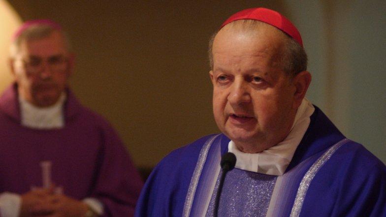 image:Image 11/source/orig/10692_7495_0_844.png