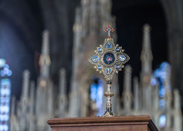 image:Image 11/source/orig/10715_20220424095026jhimg8405.jpg