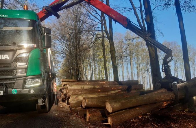 image:Image 12/source/orig/11167_7975_0_220504-alsol-betlem-hostyn.jpg