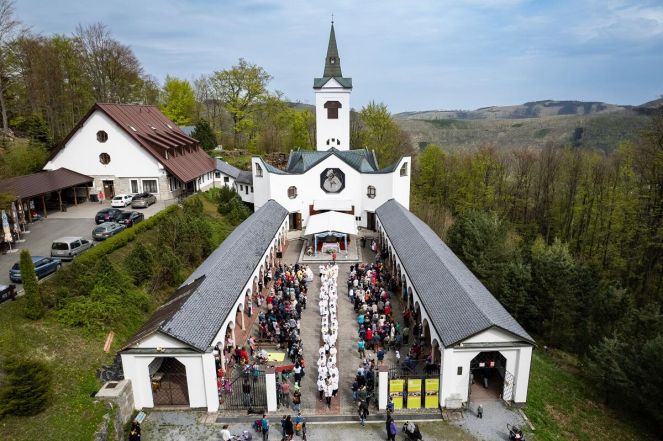 image:Image 12/source/orig/11307_8068_0_20pou_rodin_vojtch_curylo_dron201.jpg