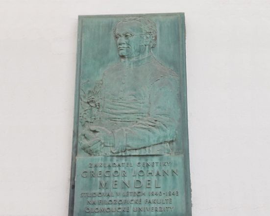 image:Image 12/source/orig/11347_8080_0_mendel-pametni-deska.jpg