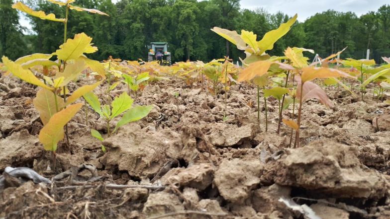 image:Image 12/source/orig/11348_8081_0_220510-alsol-svol.jpg