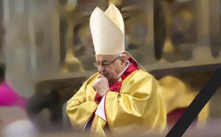 12/source/orig/11486_8341_0_kard-vlk-1.jpg image:Image 12/source/orig/11486_8341_0_kard-vlk-1.jpg