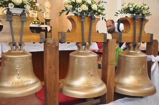 image:Image 12/source/orig/11552_8354_0_image.jpg