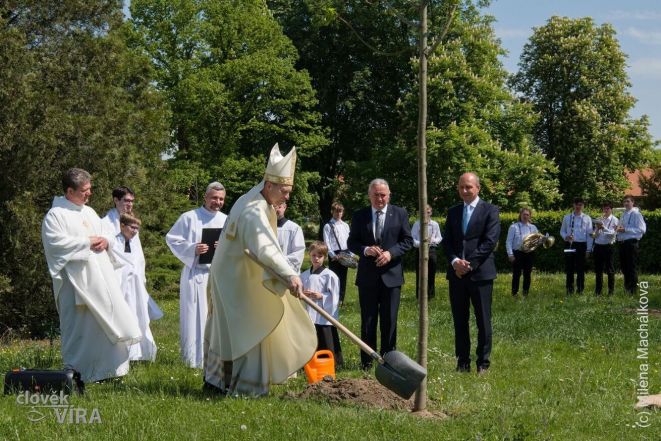 image:Image 12/source/orig/11865_8708_0_220515-holesov-700-let-12.jpg