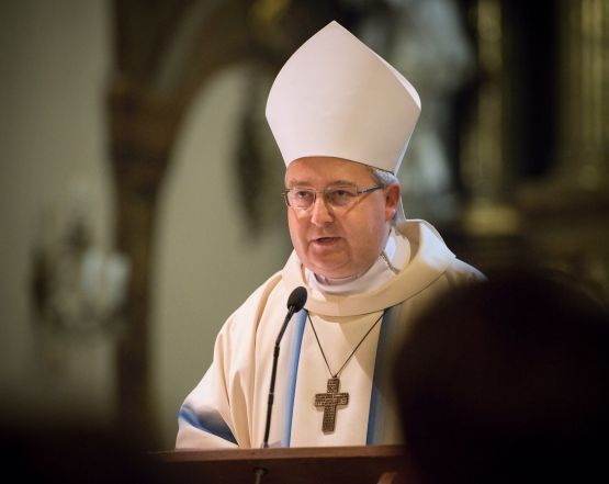 image:Image 13/source/orig/12078_duk0011.jpg