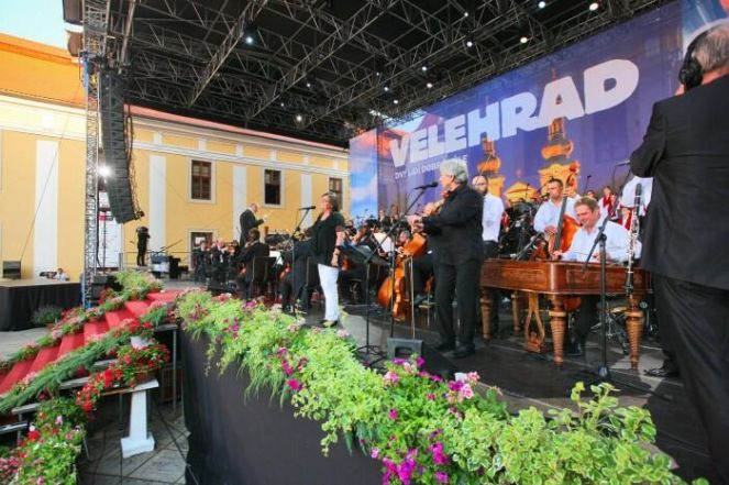 image:Image 13/source/orig/12387_9408_0_220608-dldv.jpg