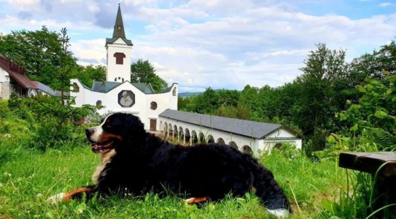 image:Image 13/source/orig/12391_9409_0_mariahilfinstagramares.jpg