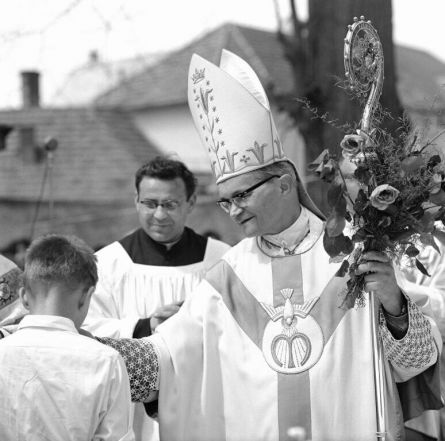 image:Image 13/source/orig/12529_9646_0_hlouch_havranek.jpg