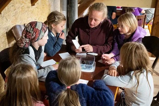 image:Image 13/source/orig/12909_9998_0_image.jpg