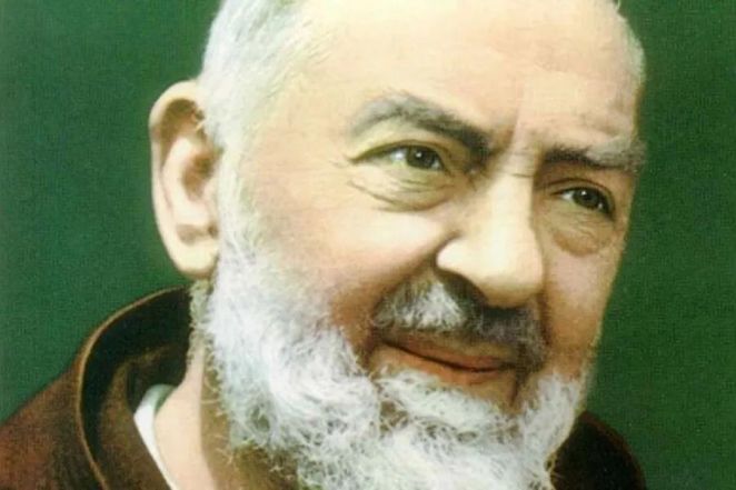 image:Image 13/source/orig/12926_9995_0_padre_pio_cna_world_catholic_news_cna_1_5_16.jpg