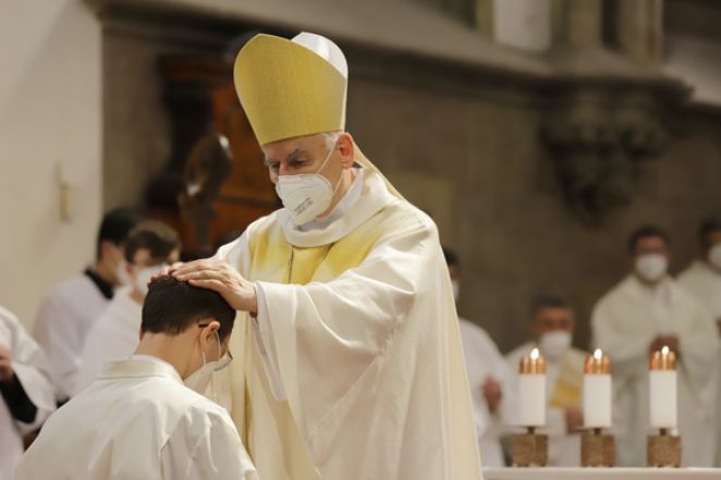 image:Image 14/source/orig/13035_aIMG_1153.jpg