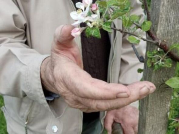 image:Image 14/source/orig/13342_10359_0_220623-dldv-nemocnicni-kaplani.jpeg