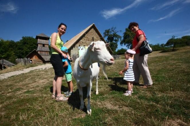 image:Image 14/source/orig/13382_10394_0_220624-dldv-ekologie.jpg