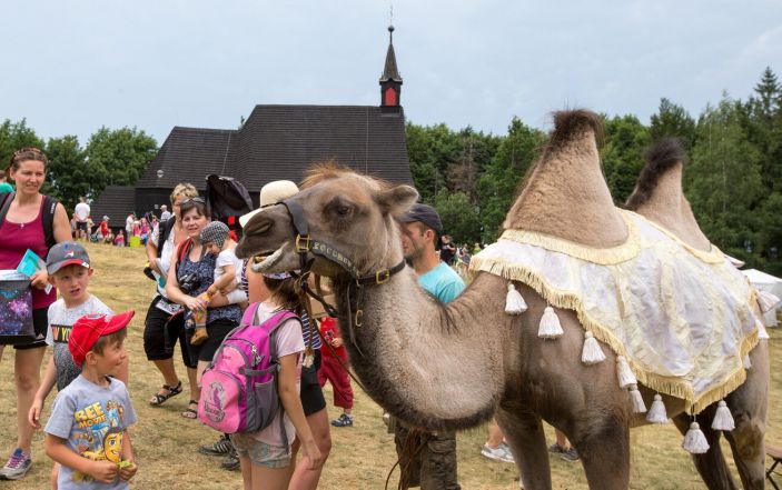 image:Image 14/source/orig/13640_10486_0_20190701-joci-prasiva-img6408.jpg