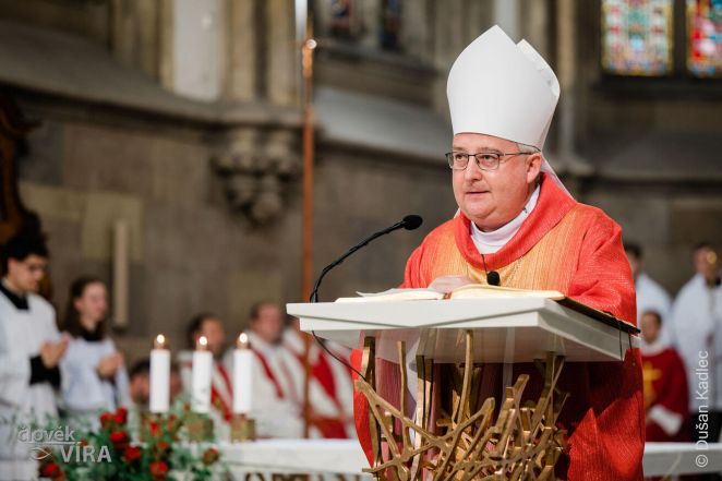 image:Image 14/source/orig/13794_10698_0_dk20095.jpg