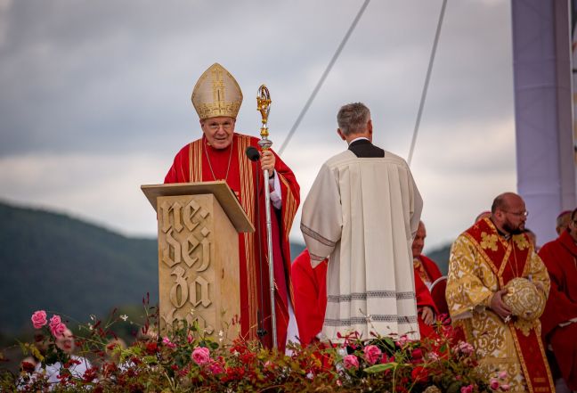 image:Image 15/source/orig/14737_al2491.jpeg