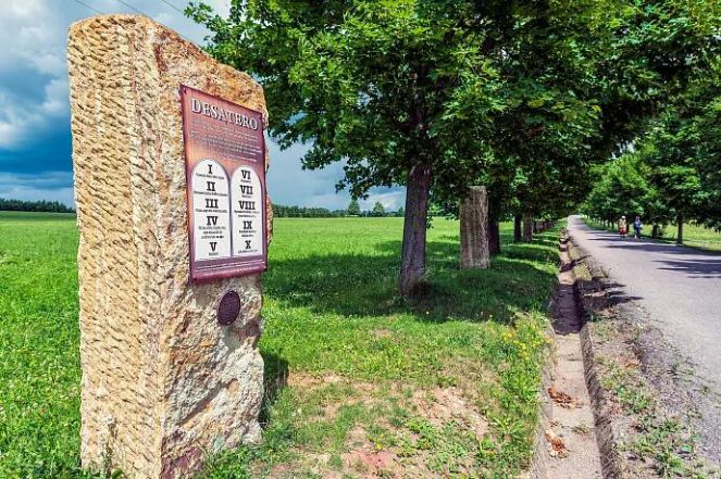 image:Image 15/source/orig/14876_12064_0_image.jpg