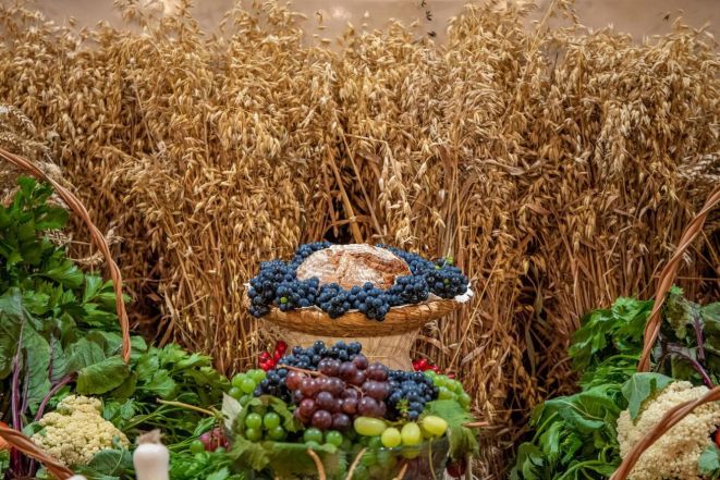 image:Image 15/source/orig/14906_12091_0_220808-podekovani-za-urodu.jpg