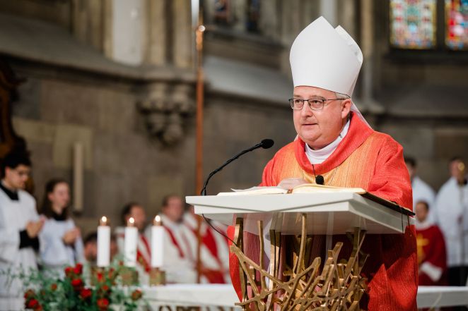 image:Image 16/source/orig/15670_dk20095-1.jpg