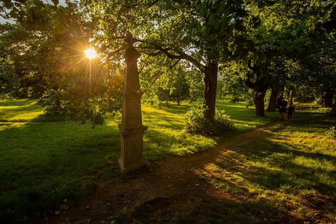 image:Image 16/source/orig/15674_12840_0_21-05-29-ivho-img2800.jpeg