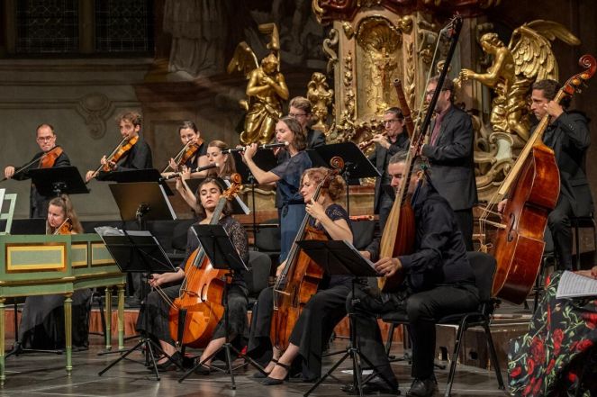 image:Image 17/source/orig/16184_13514_0_shf2022.jpg