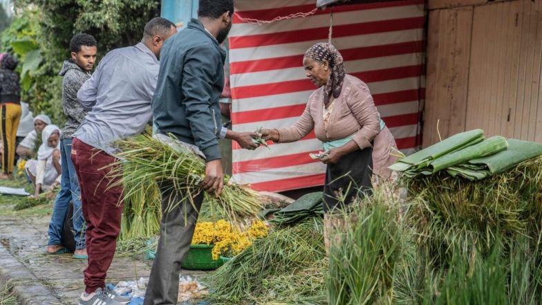 17/source/orig/16229_13566_0_844.jpeg image:Image 17/source/orig/16229_13566_0_844.jpeg