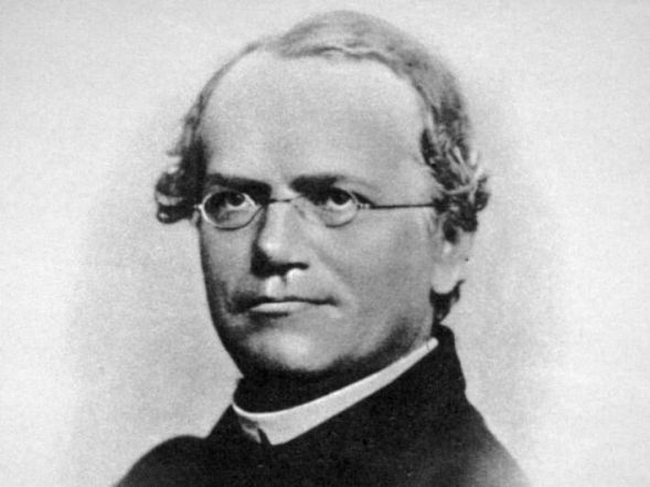 17/source/orig/16393_13787_0_gregor-mendel.jpg image:Image 17/source/orig/16393_13787_0_gregor-mendel.jpg