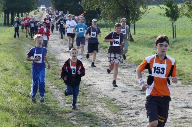 image:Image 17/source/orig/16624_13966_0_-vclava.jpg