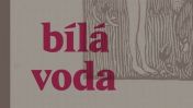 image:Image 18/source/orig/17023_bila-voda.jpg
