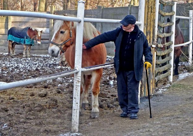 image:Image 18/source/orig/17078_14521_0_220930-caritas-socialni-zemedelstvi.jpg