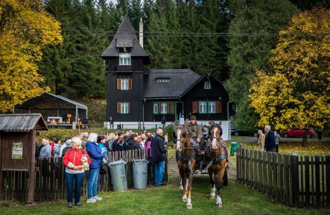 image:Image 18/source/orig/17577_14965_0_hubert2019.jpg