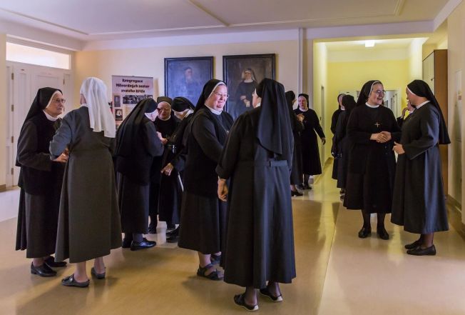 image:Image 19/source/orig/18161_eholnice.jpg