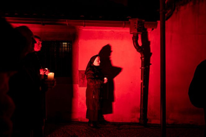 image:Image 20/source/orig/19826_angut-4028.jpg