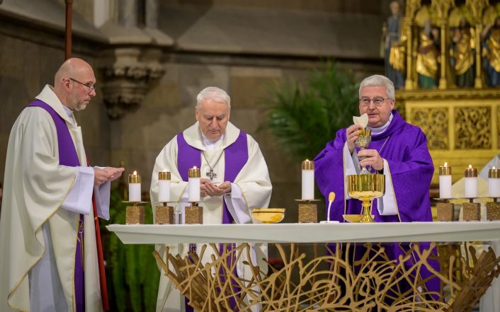 image:Image 21/source/orig/20488_cikrle-konzbul.jpg