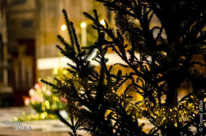 image:Image 21/source/orig/20891_18399_0_vanoce.jpg