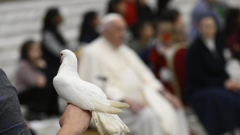 image:Image 22/source/orig/21172_18743_0_844.jpeg