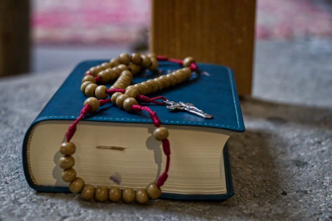 image:Image 22/source/orig/21421_img7383.jpg