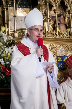 image:Image 22/source/orig/21538_konzbul.jpg