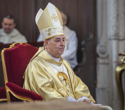 image:Image 22/source/orig/21548_160528-112503-peza-p1v1680-pout-jablonne-od-11h.jpg