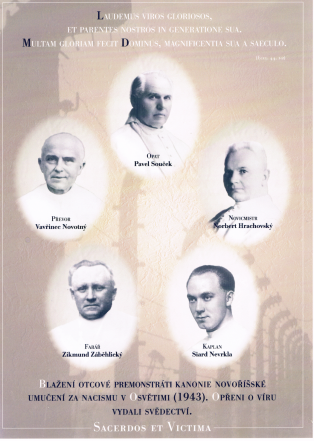 image:Image 23/source/orig/22555_snimek-obrazovky-2023-01-20-v-8-15-38.png