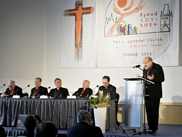 image:Image 24/source/orig/23401_25.JPG