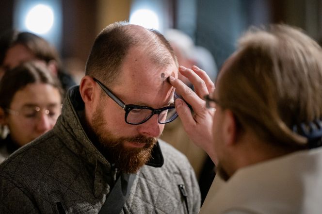 image:Image 25/source/orig/24495_z626323.jpg