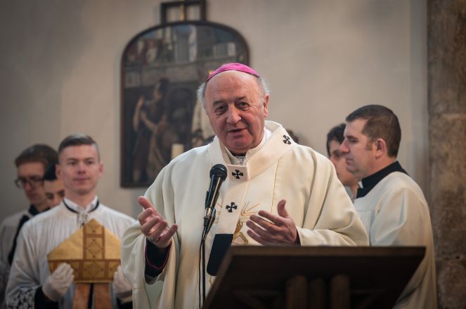 image:Image 25/source/orig/24731_pesy-20230225-svvojtech-z629924.jpg